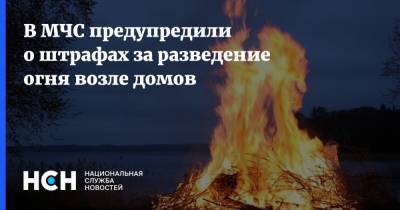 Никита Чаплин - В МЧС предупредили о штрафах за разведение огня возле домов - nsn.fm - Московская обл.