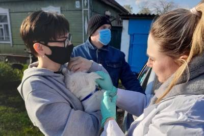 В Тамбове продолжается бесплатная вакцинация домашних животных от бешенства