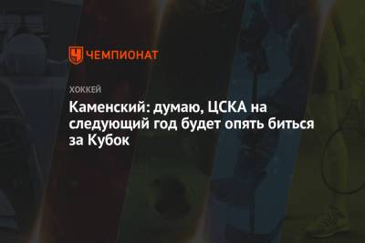 Каменский: думаю, ЦСКА на следующий год будет опять биться за Кубок