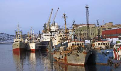 Вечно мертвая зона: почему нет жизни в российских портах