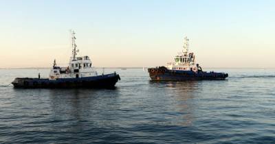 Сувениры после "Делфи": в Одессе водолазы проверяют дно моря после кораблекрушения