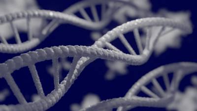 Американские ученые определили влияние генов человека на течение COVID-19