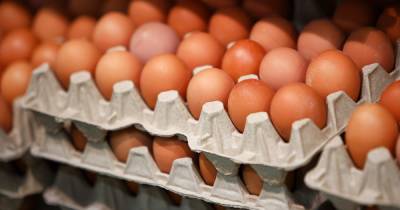 Российские производители зафиксировали снижение цен на яйца