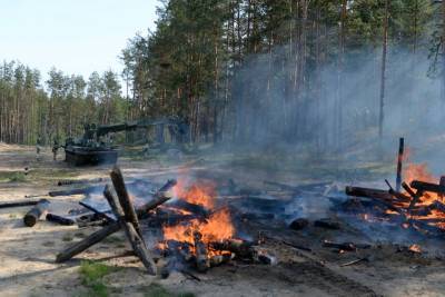 В противопожарных мероприятиях задействовали и военнослужащие ЗВО в Воронежской области