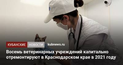 Восемь ветеринарных учреждений капитально отремонтируют в Краснодарском крае в 2021 году