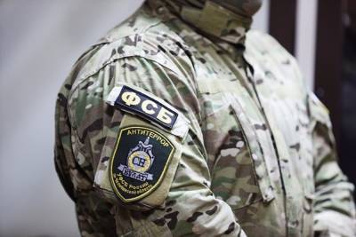 Курганское УФСБ возбудило на москвича уголовное дело за призывы к расправе на полицейскими