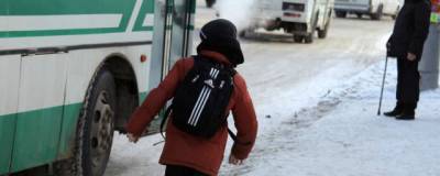 В Кирове обсуждают запрет высаживать детей-безбилетников из транспорта