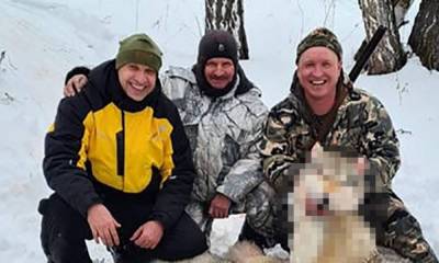 Депутата «Единой России» с позором исключили из партии за убийство волка