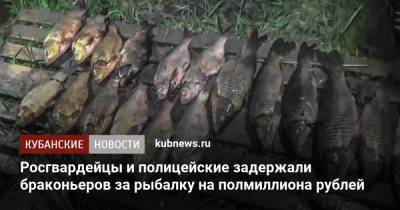 Росгвардейцы и полицейские задержали браконьеров за рыбалку на полмиллиона рублей