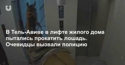 В Тель-Авиве в лифте жилого дома пытались прокатить лошадь. Очевидцы вызвали полицию