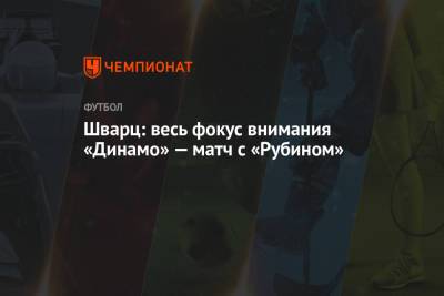 Шварц: весь фокус внимания «Динамо» — матч с «Рубином»
