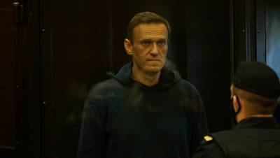 СК возбудил дело против Навального за создание НКО, посягающей на права граждан