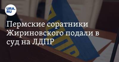 Пермские соратники Жириновского подали в суд на ЛДПР