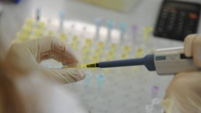 Разработанный в Японии анализ позволит быстрее выявлять мутации коронавируса