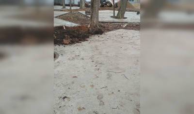 Жители Уфы возмутились действиям застройщика, залившим бетоном городской лес