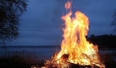 За прошлые сутки в Тюменской области произошло 48 лесных и ландшафтных пожаров