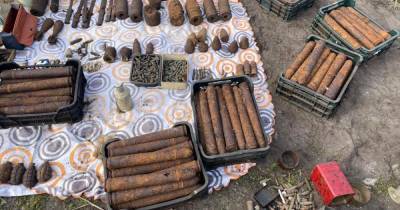У жителя Светлого в сарае нашли склад оружия и боеприпасов времён войны (фото, видео)