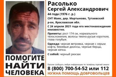 В Ярославской области ищут мужчину, пропавшего в СНТ