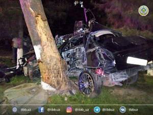 Lacetti протаранила дерево, водитель погиб на месте в центре Ташкента