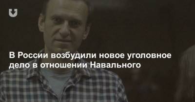 В России возбудили новое уголовное дело в отношении Навального