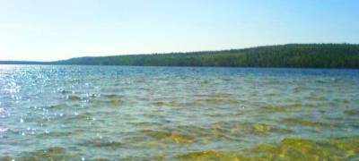 Жители лесного поселка на севере Карелии более года пытаются спасти озеро от форелеводов