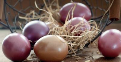 Россиянам объяснили, почему яйца вдруг стали дешевле перед Пасхой