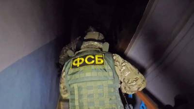 Раскрыты подробности задержания украинских радикалов в России