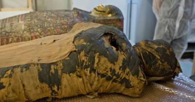 Обнаружена первая в истории древнеегипетская мумия беременной женщины