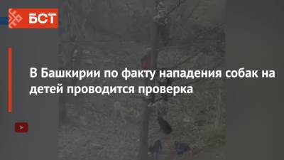 В Башкирии стая собак загнала детей на дерево