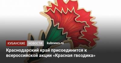 Краснодарский край присоединится к всероссийской акции «Красная гвоздика»