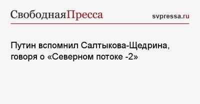 Путин вспомнил Салтыкова-Щедрина, говоря о «Северном потоке -2»