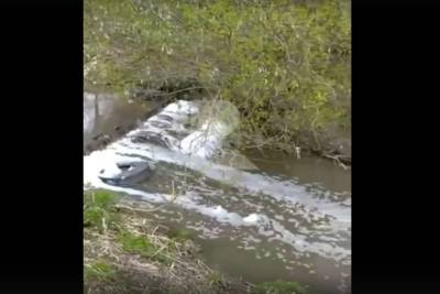 Рязанец снял на видео пену в реке Лыбедь