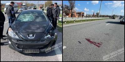 ДТП на трассе Днепр-Запорожье, женщина на Peugeot сбила двух детей, мальчик умер в больнице - Фото - ТЕЛЕГРАФ
