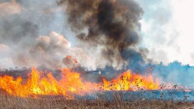 "Подарок" от погоды: Украина страдает от пожарной опасности, дождей и заморозков