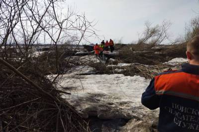 В Томске четверых подростков спасли с оторвавшейся от берега льдины – Учительская газета