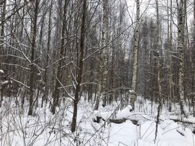 В Тверской области землевладельцу назначен крупный штраф за нарушение земельного законодательства