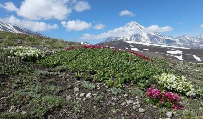 На Камчатке построят новый горнолыжный курорт «Три вулкана»