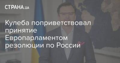 Кулеба поприветствовал принятие Европарламентом резолюции по России - strana.ua