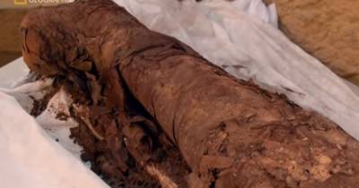 Хранившаяся в польском Национальном музее древнеегипетская мумия оказалась беременной