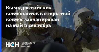 Выход российских космонавтов в открытый космос запланирован на май и сентябрь