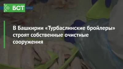 В Башкирии «Турбаслинские бройлеры» строят собственные очистные сооружения