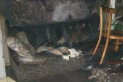 В Новодвинске при пожаре пострадала женщина