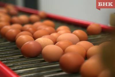 Статистики Коми зафиксировали снижение цен на яйца