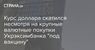 Курс доллара скатился несмотря на крупные валютные покупки Укрэксимбанка “под вакцину”