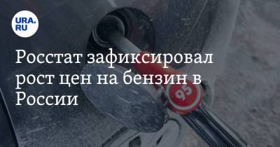 Росстат зафиксировал рост цен на бензин в России