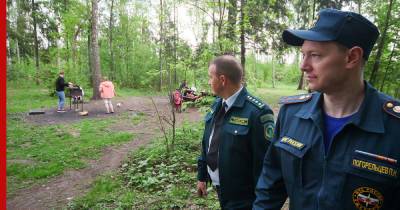 О "бесконечных штрафах" за приготовление шашлыка в неположенном месте предупредили россиян