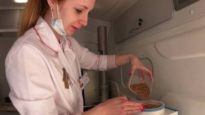 Специальные машины оценят качество зерна в Воронежской области
