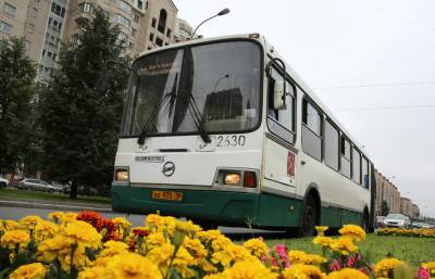 Автобусы петербургского «Пассажиравтотранса» замечены на территории ЛНР