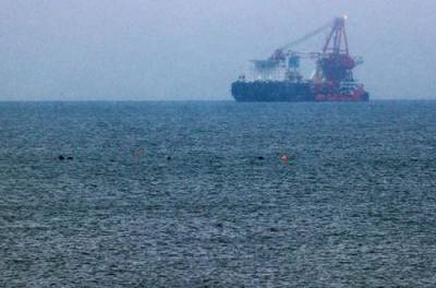 «Это операция НАТО против России?» Польский корабль протаранил судно при строительстве «Северного потока – 2» (ВИДЕО)