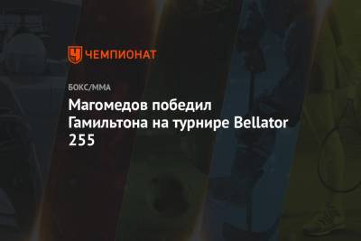 Магомедов победил Гамильтона на турнире Bellator 255